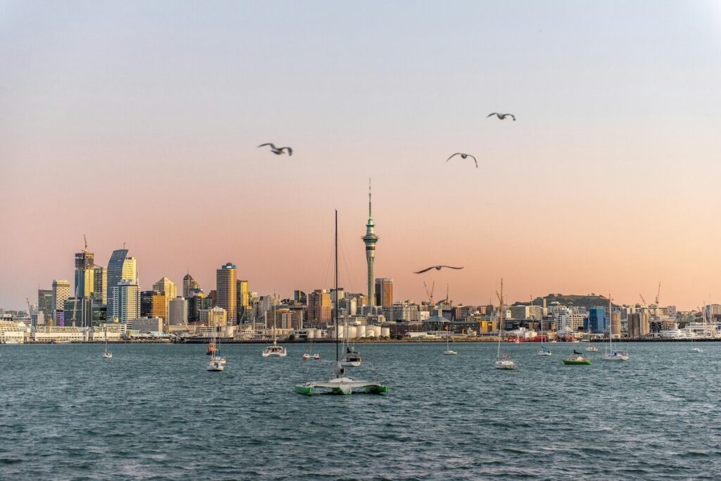 panoramic view of Auckland and yachts during sunset