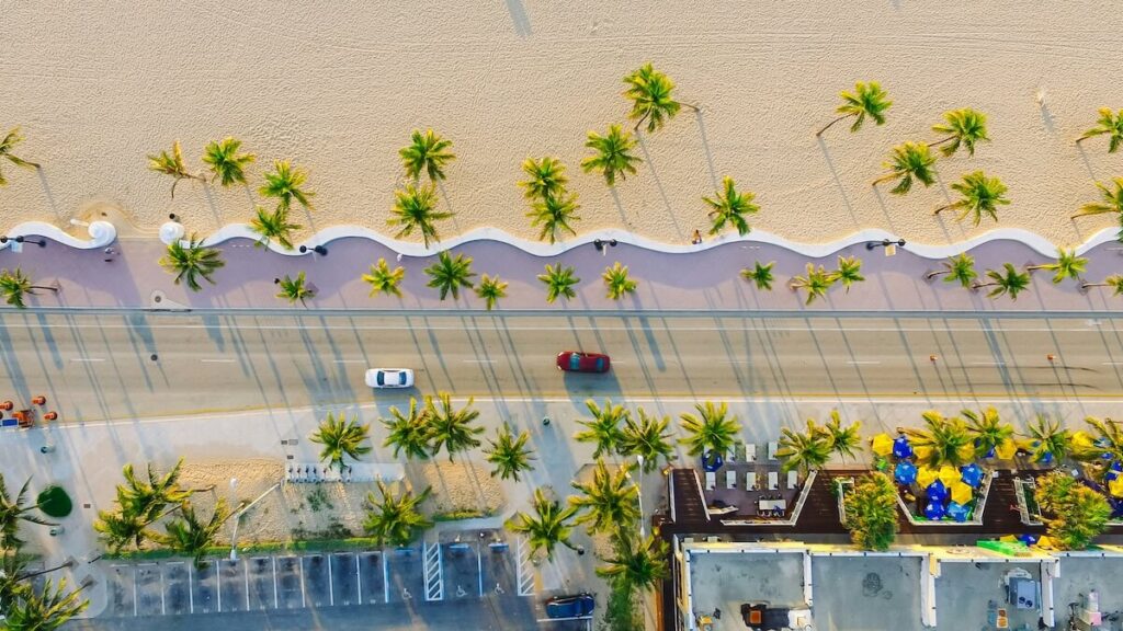 aerial view of palm-lined beach in Miami