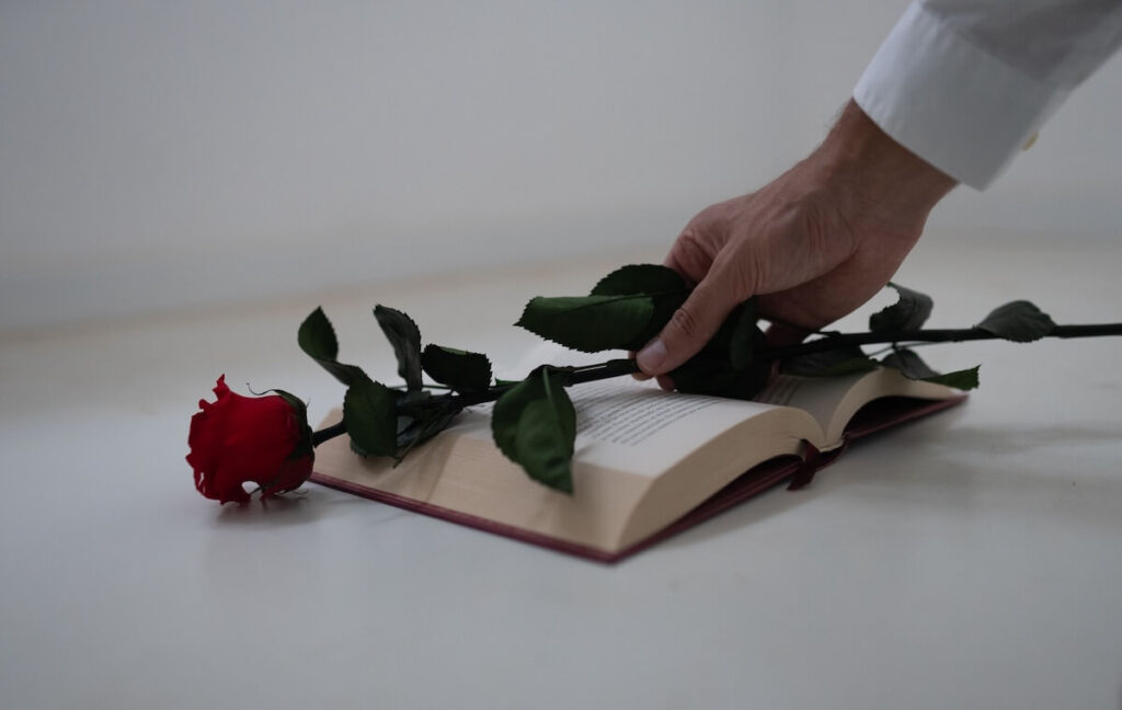 hand holding rose stem on top of open book