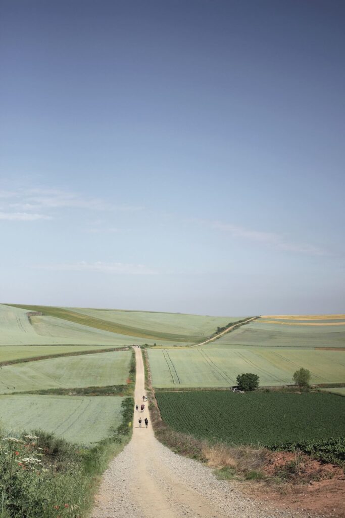 pilgrimage route amidst open field