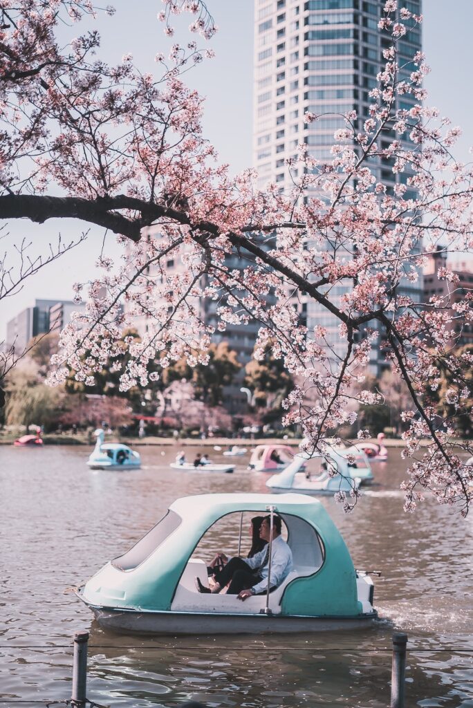 couple boating at Ueno Park