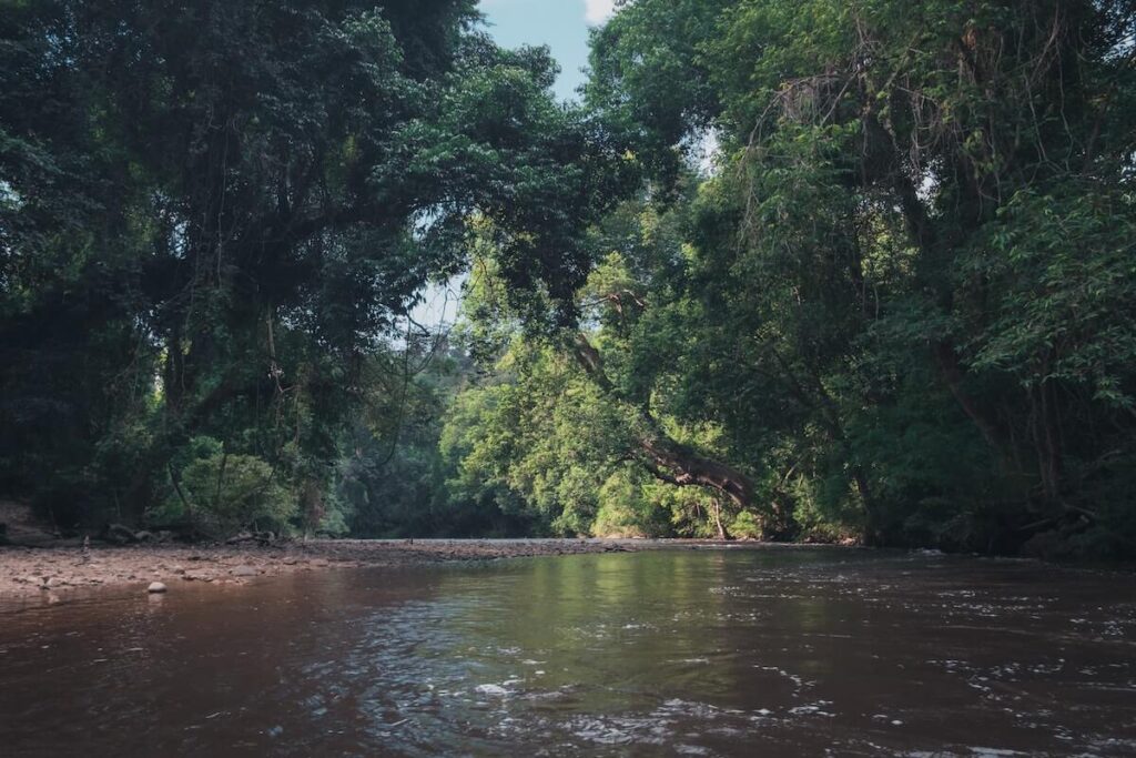 Lata Berkoh in Taman Negara