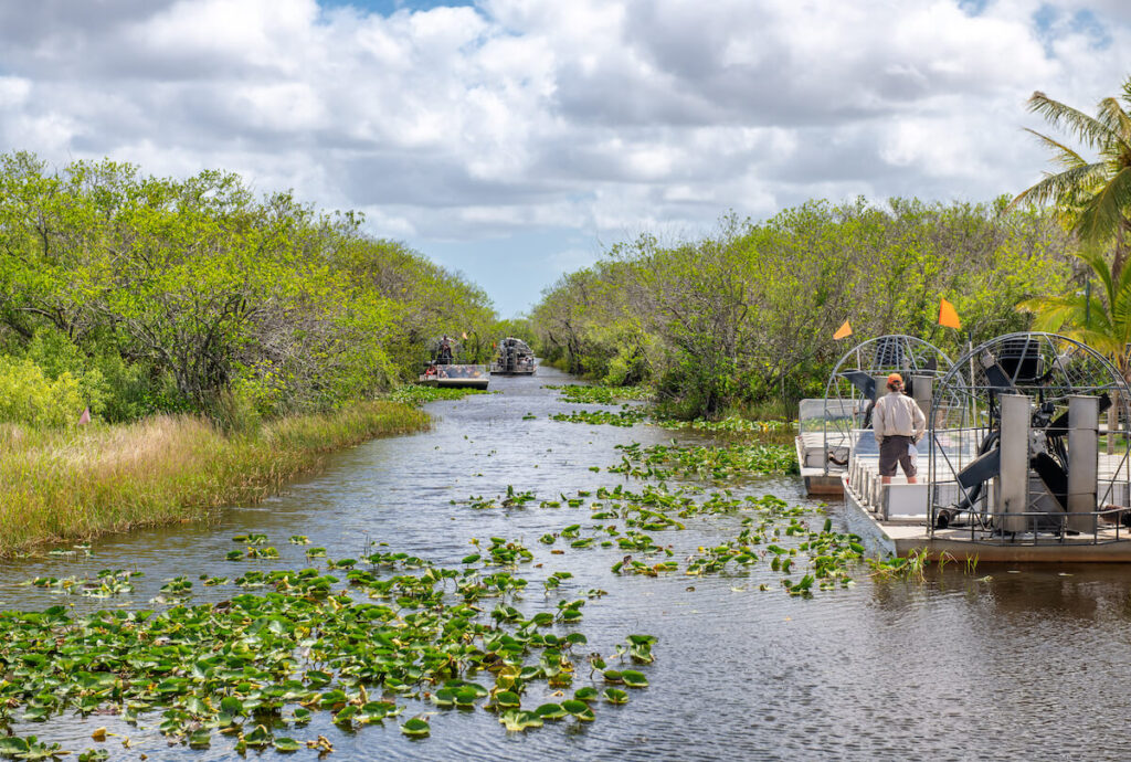 Airboats tours in Everglades National Park, Florida