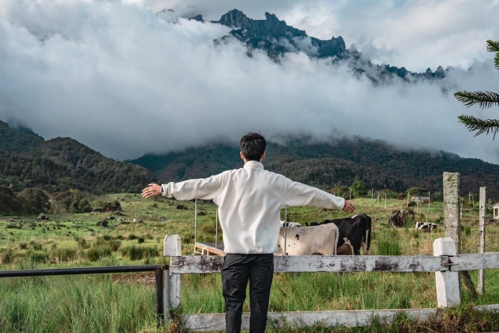 scenic meadow in Kundasang, Malaysia