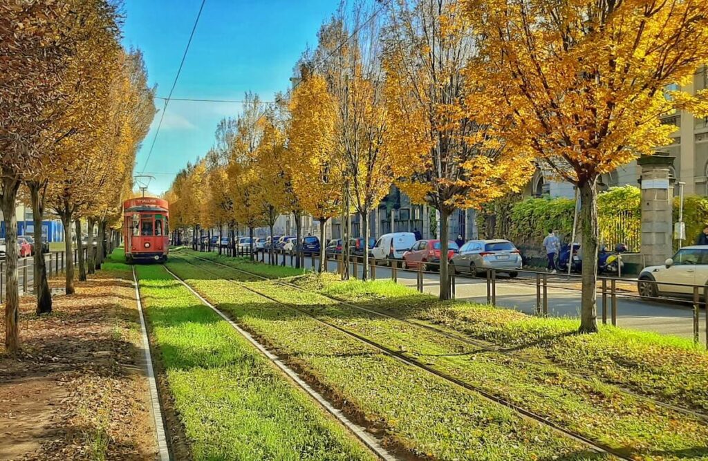 historic milanese tram on tree lined street