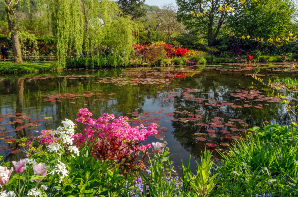 Beautiful lily pond in spring in Claude Monet's garden, flowers and plants reflected in the water