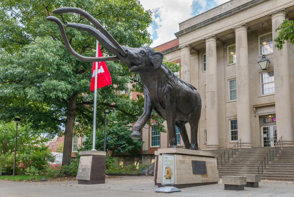 Archie the Mammoth sculpture at Lloyd G. Tanner Plaza on the campus of the University of Nebraska.
