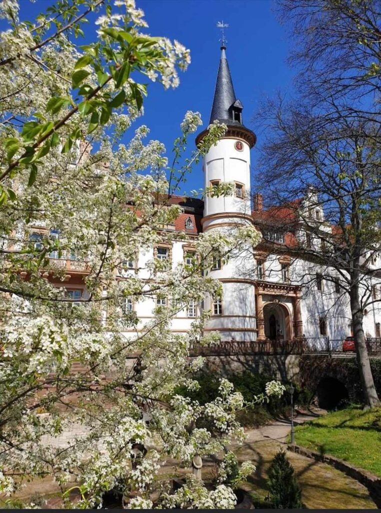 flowering trees outside Schlosshotel Schkopau