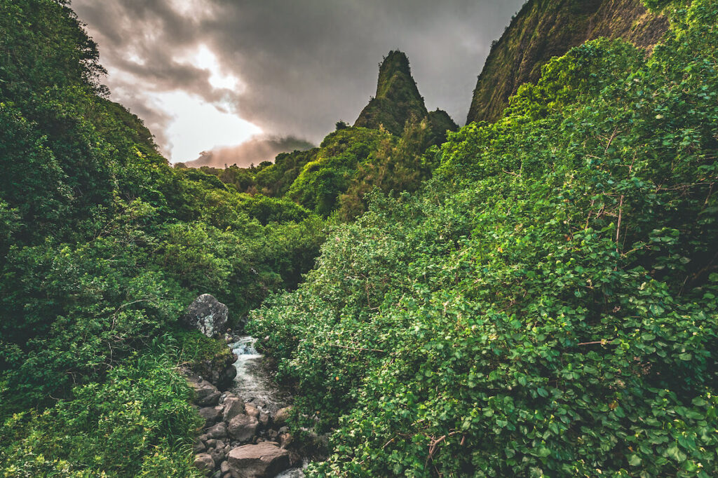A stream runs through the lush rainforest jungle beneath the Iao Needle in Iao Valley State Park outside of Kahului and Wailuku in the West Maui Forest Preserve on the island of Maui, Hawaii