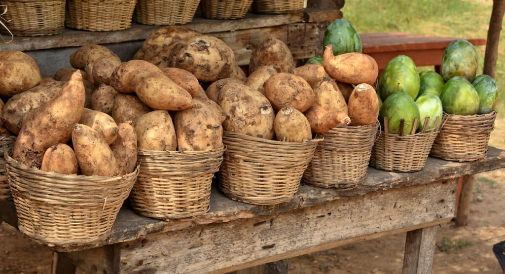 Yam on display for a sale