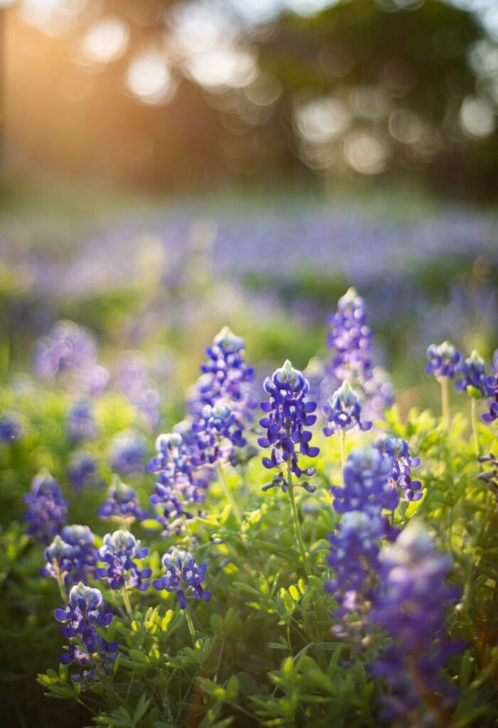 Blue flowers in meadow