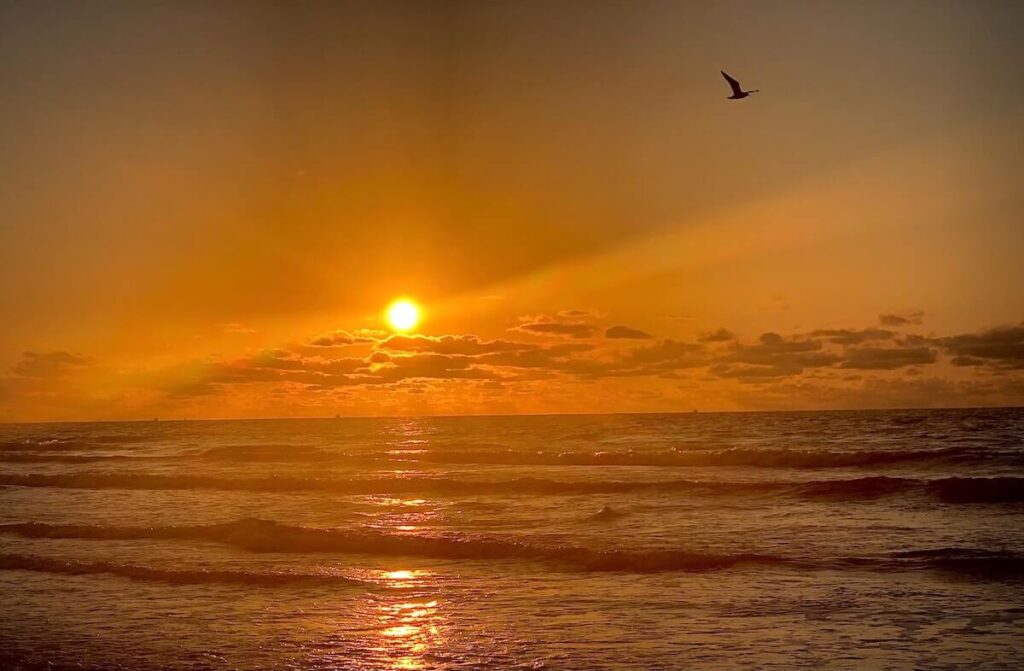 Beach at sunset