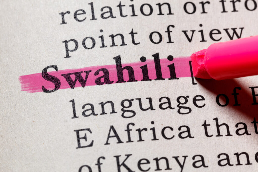 Dictionary definition of the word Swahili
