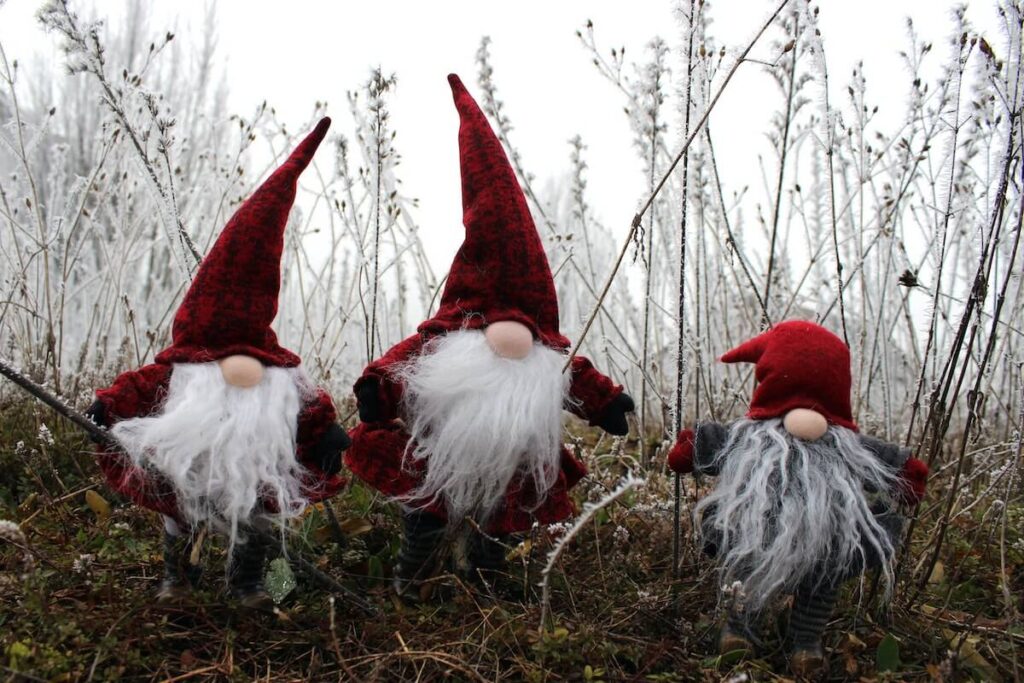 Nisser gnomes