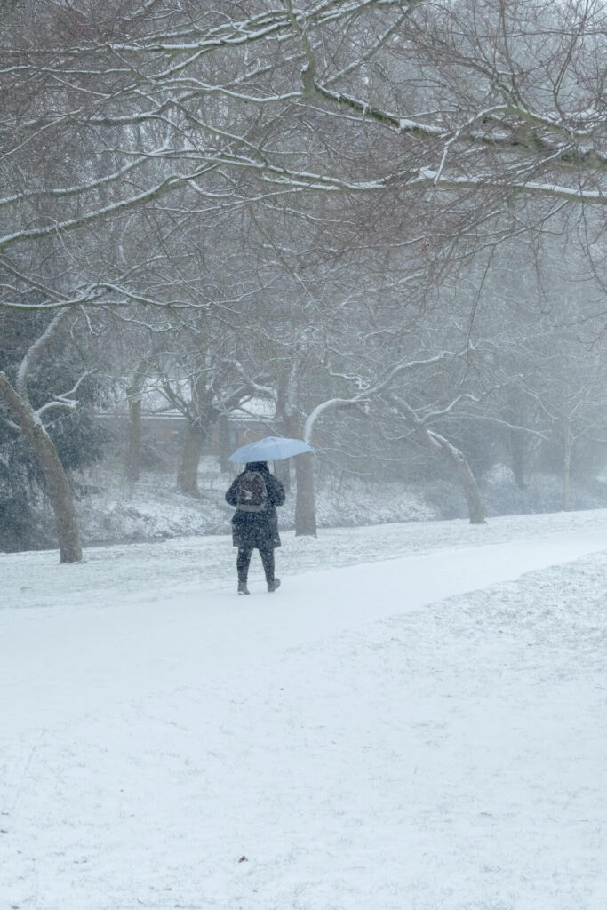 person walking during a snowstorm