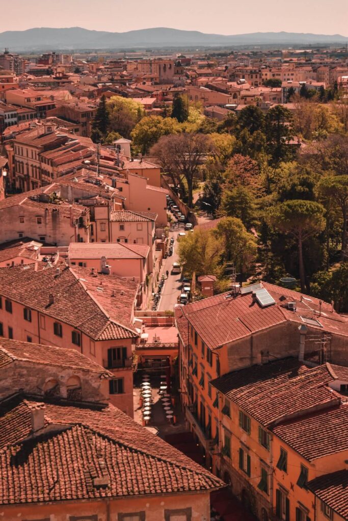 aerial view of buildings and houses in Pisa, Italy