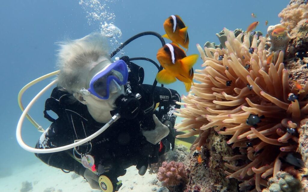 scuba diver sees clownfish
