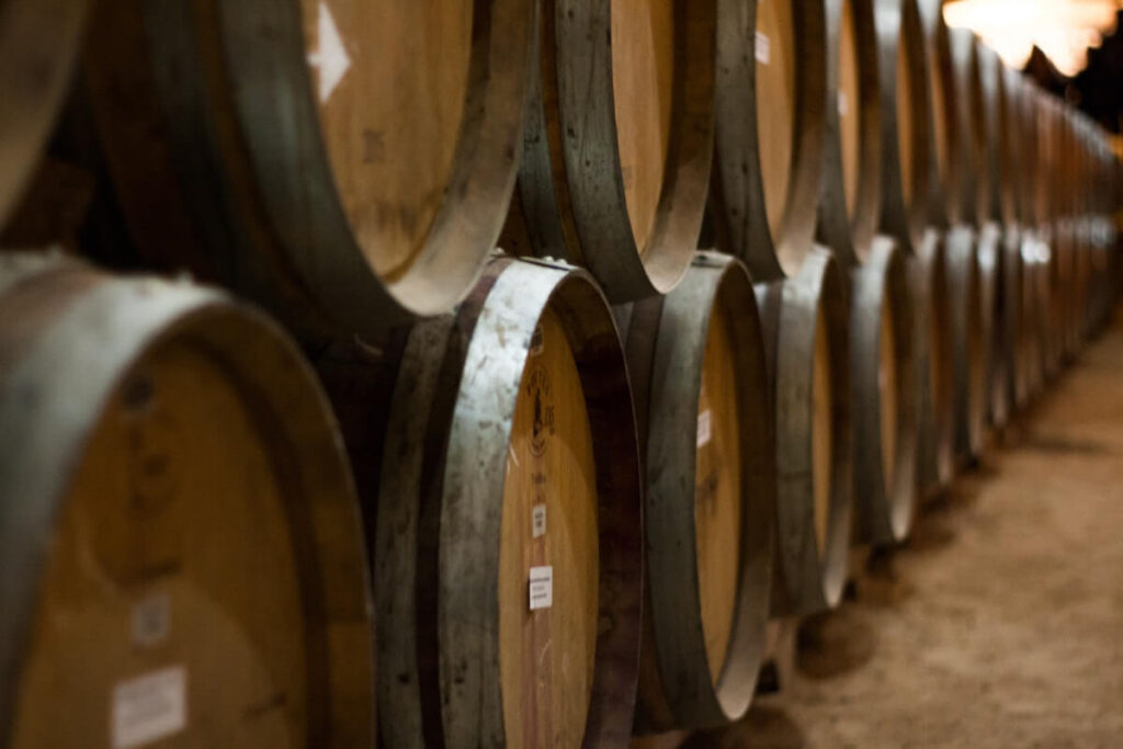 wine barrels in maipo valley winery
