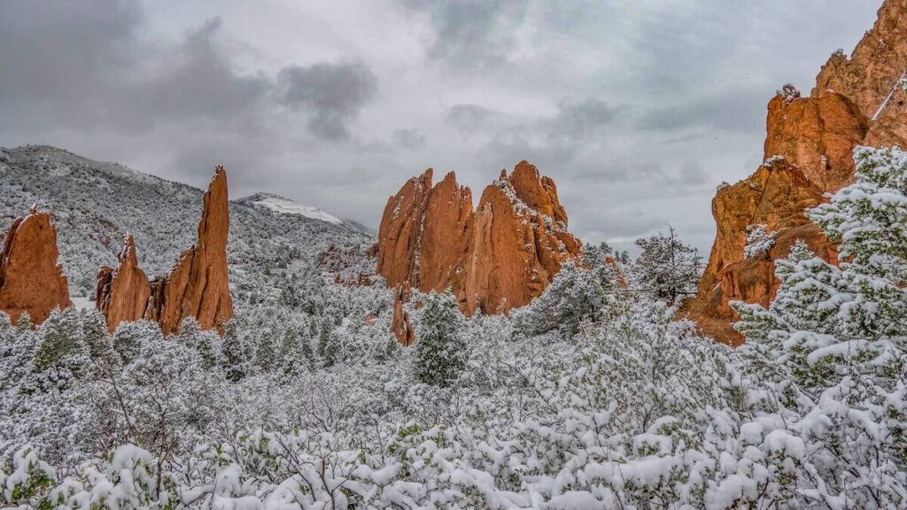 Brown rocks in snowy forest