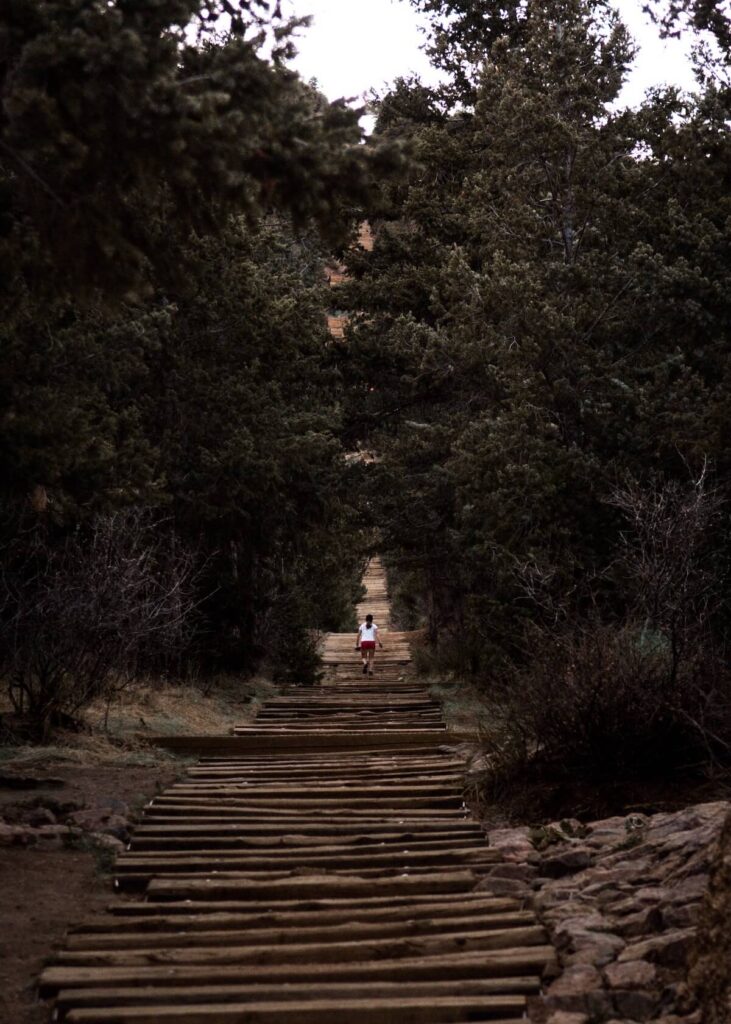 Person walking up forest steps