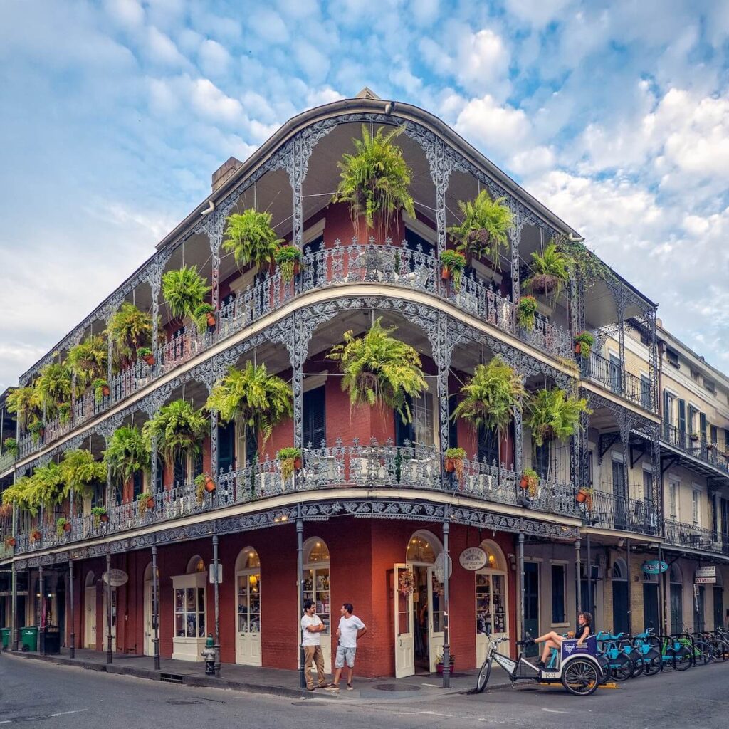 Ferns in the French Quarter.