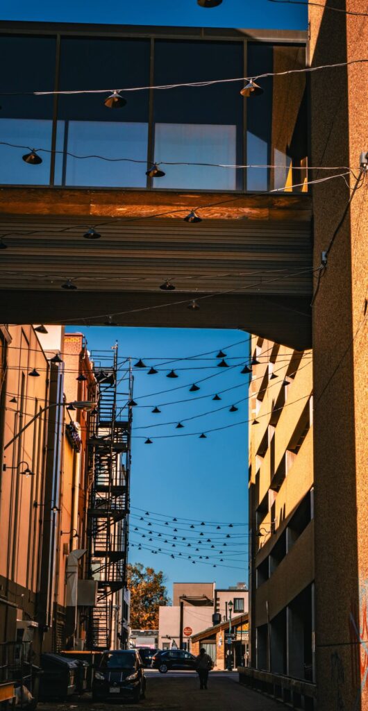 Light strung alley during golden hour