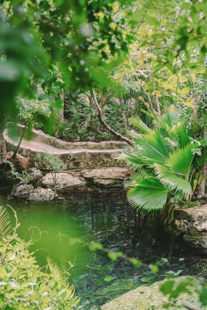 Cenotes Cristal y Escondido