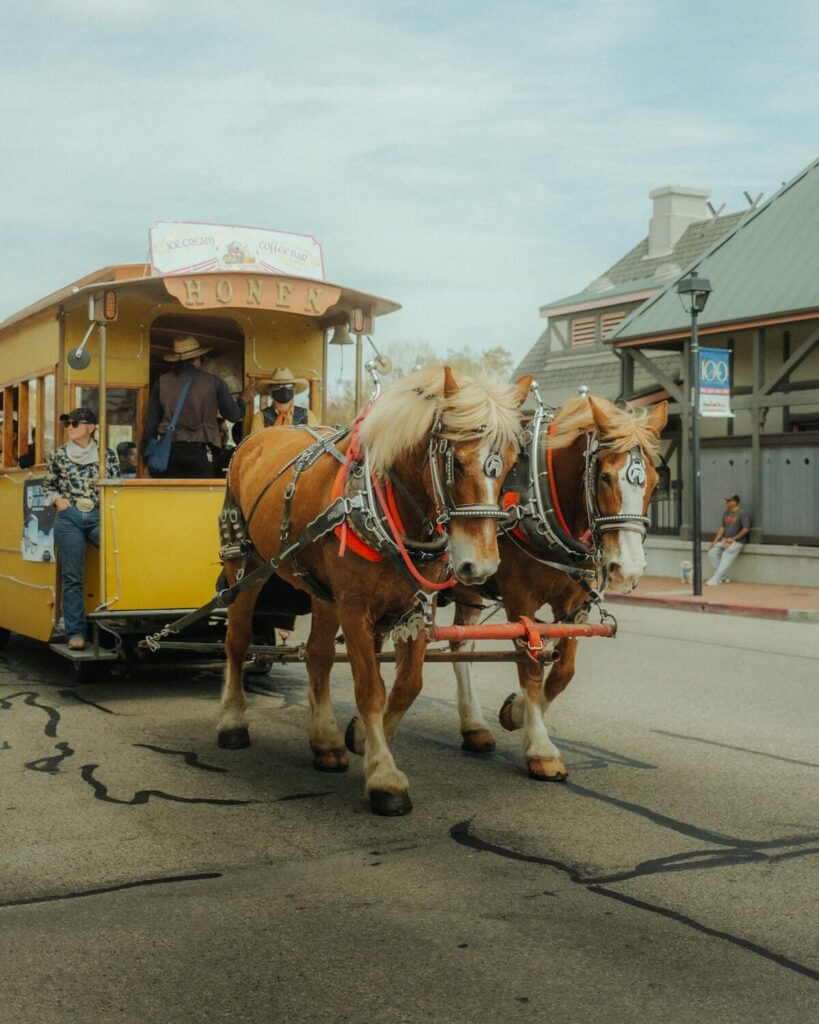 horse-drawn carriage in Solvang