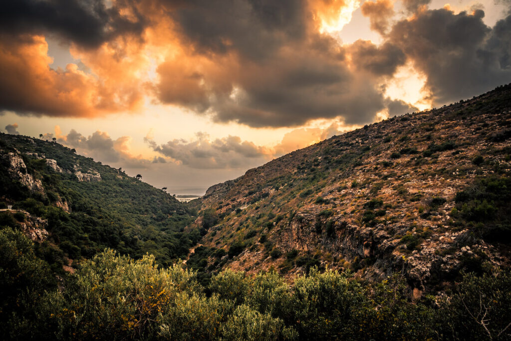 A shot of the Carmel ridge, Israel