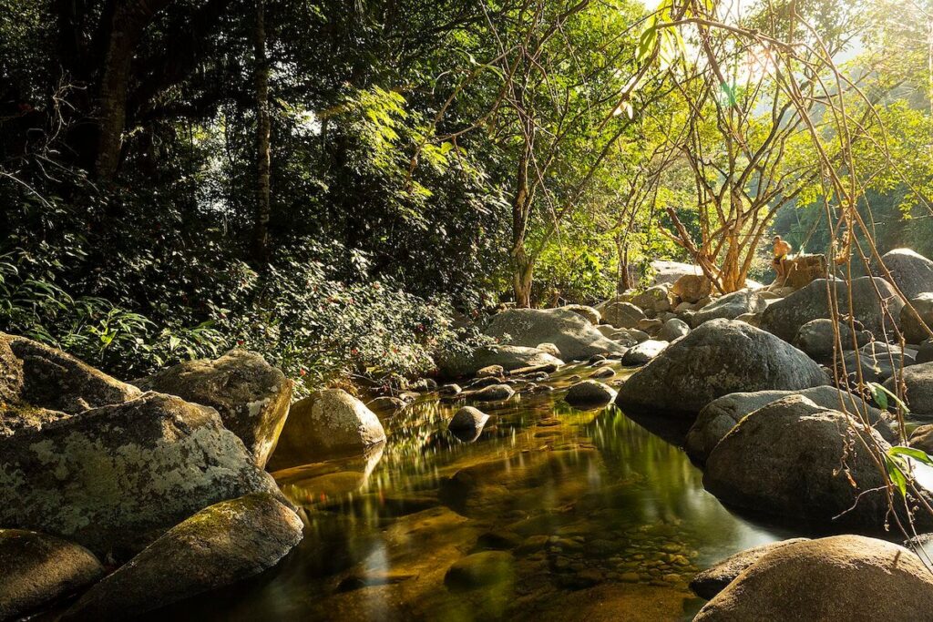 quiet creeek in cachoeiras de macacu