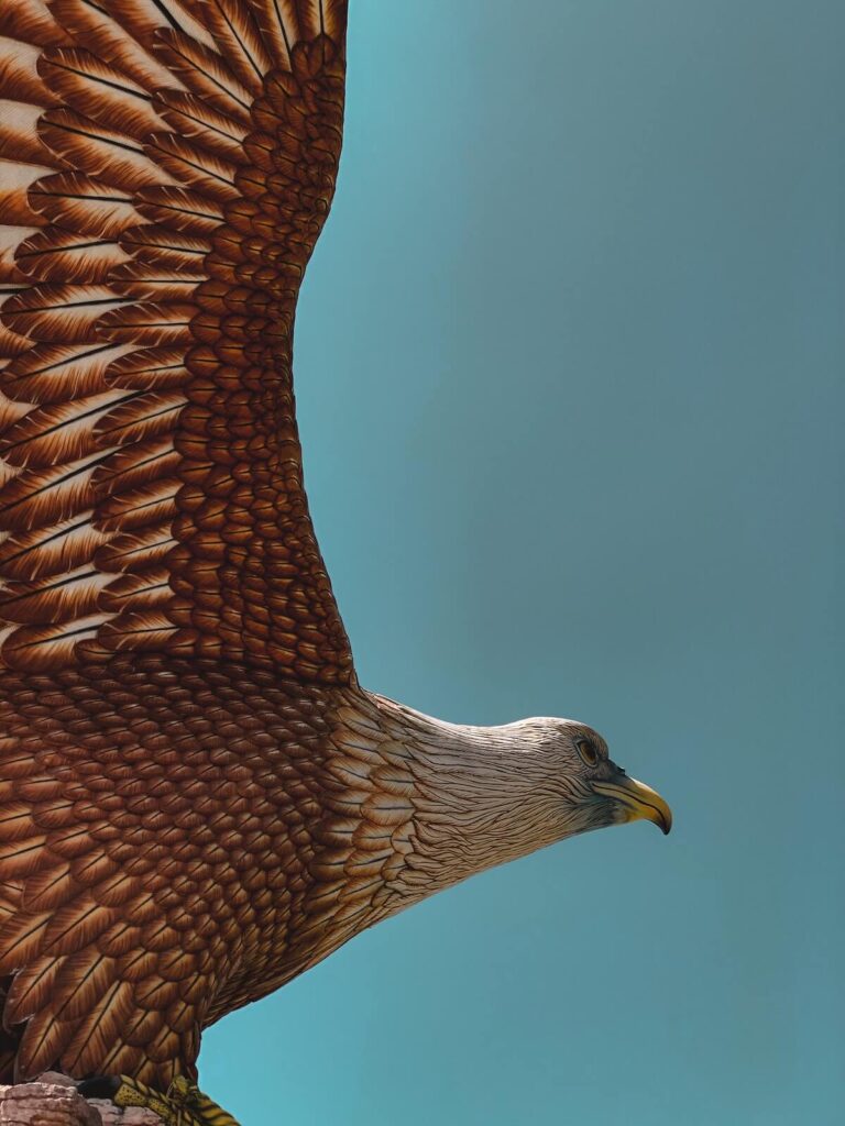 closeup of eagle statue in Langkawi