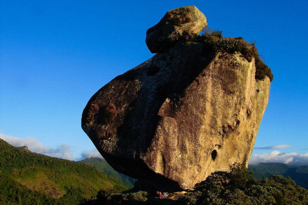 peito do pombo rock in sana