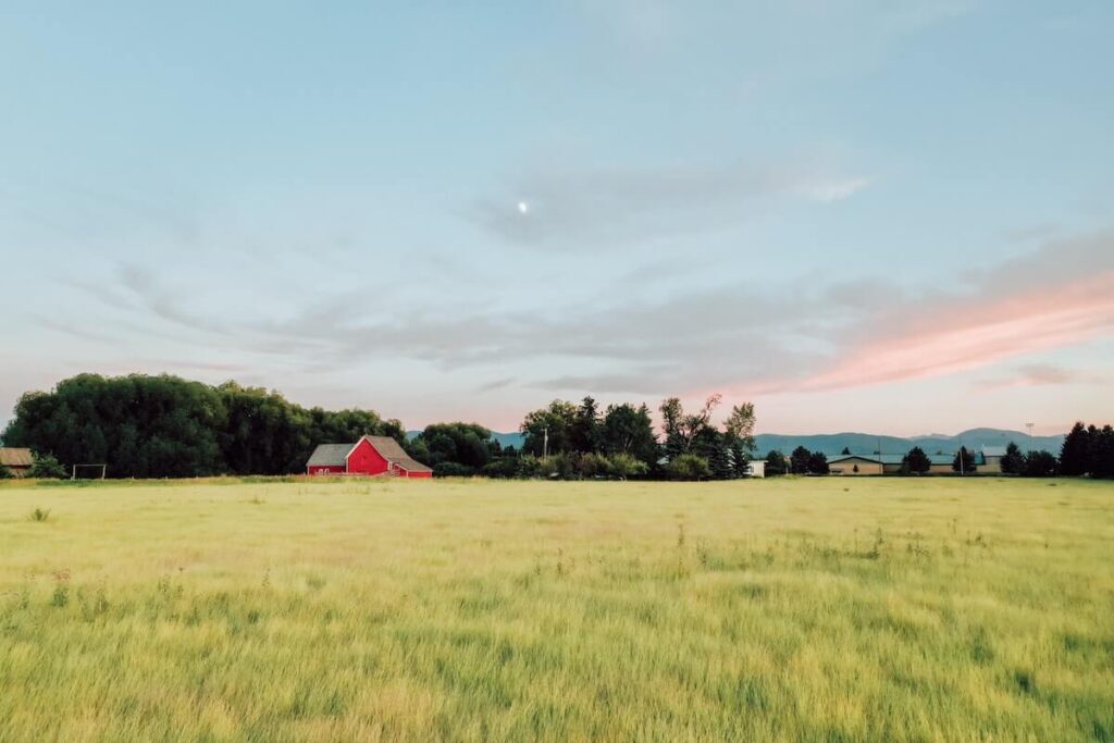 red barn in green field