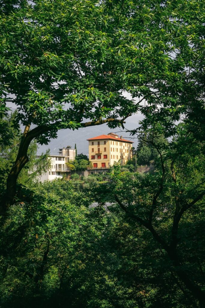 Town of Varenna hidden behind trees