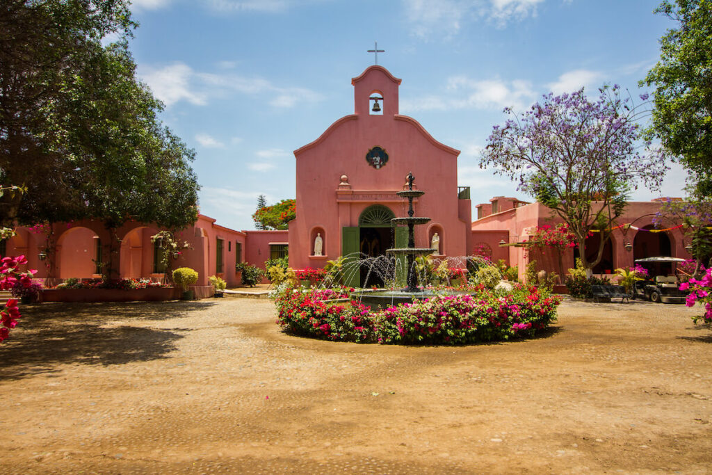 Vineyard in Pisco area