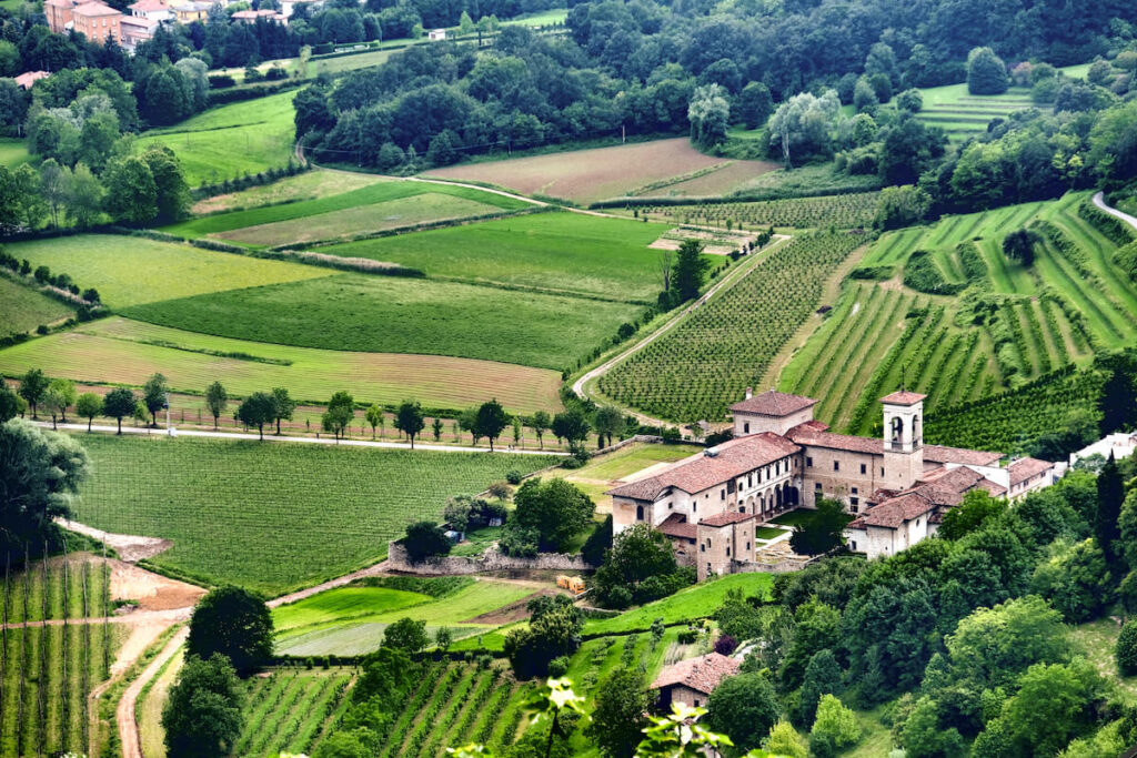 Traditional winery with vineyards in front in Italy near Milano Bergamo - Lombardia region
