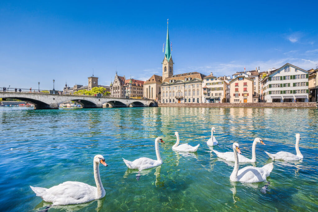 Beautiful view of the historic city center of Zurich with famous Fraumunster Church and swans on river Limmat on a sunny day with blue sky