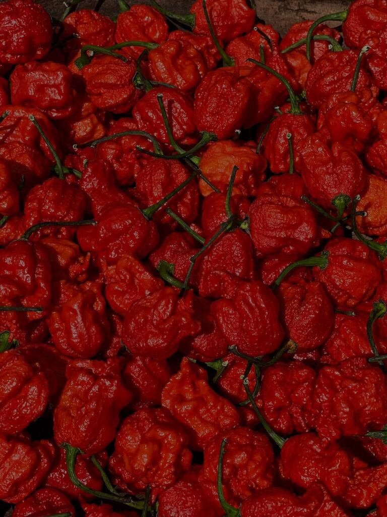 Carolina reapers