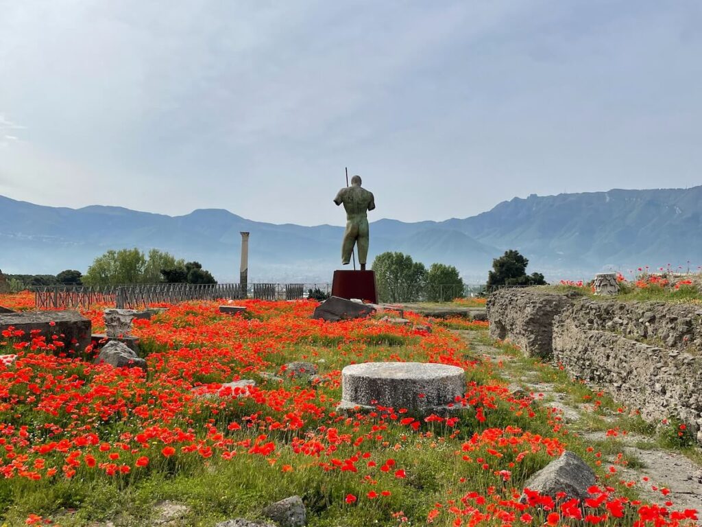 poppy field in pompeii