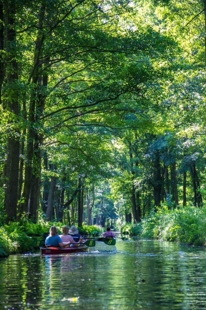 kayaking in the spreewald
