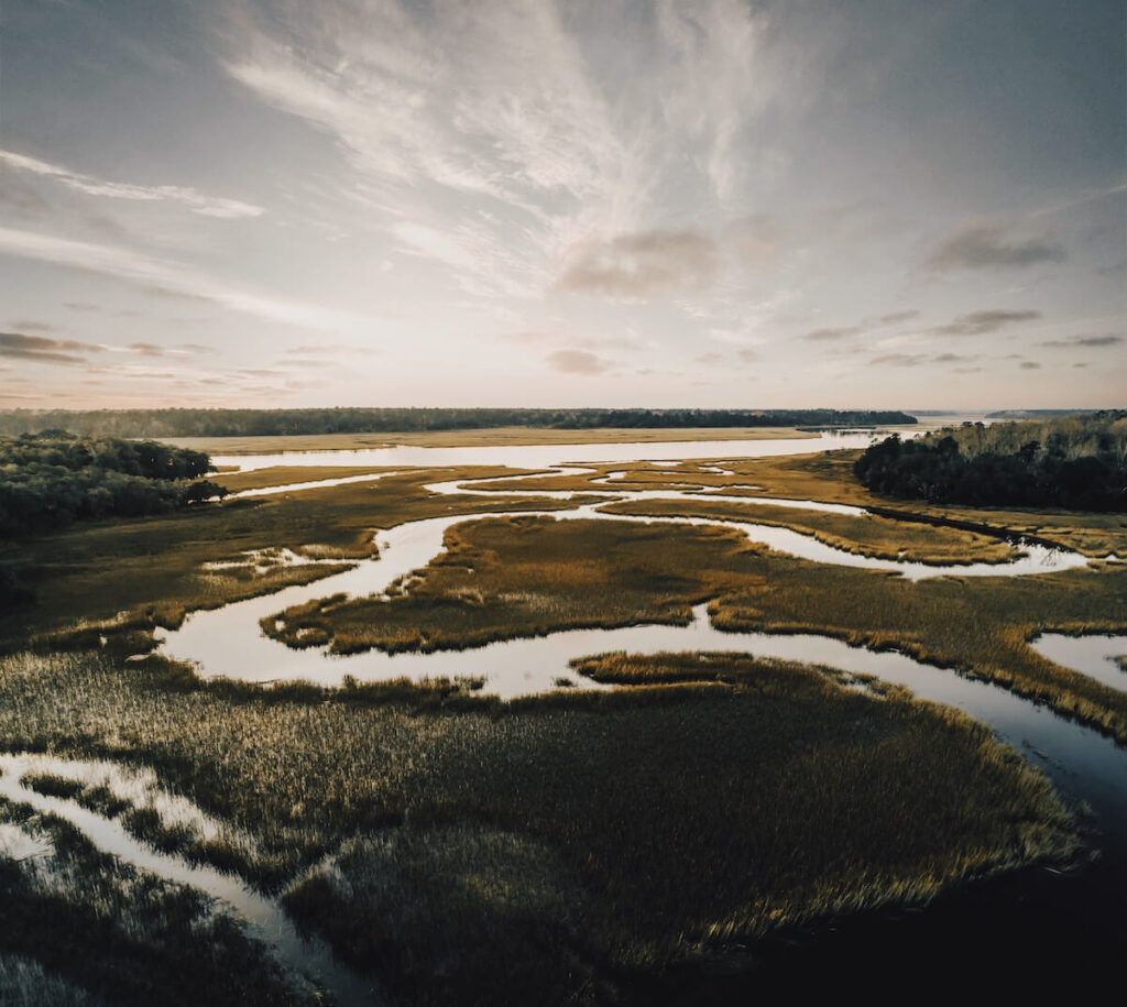 Salt marshes in South Carolina