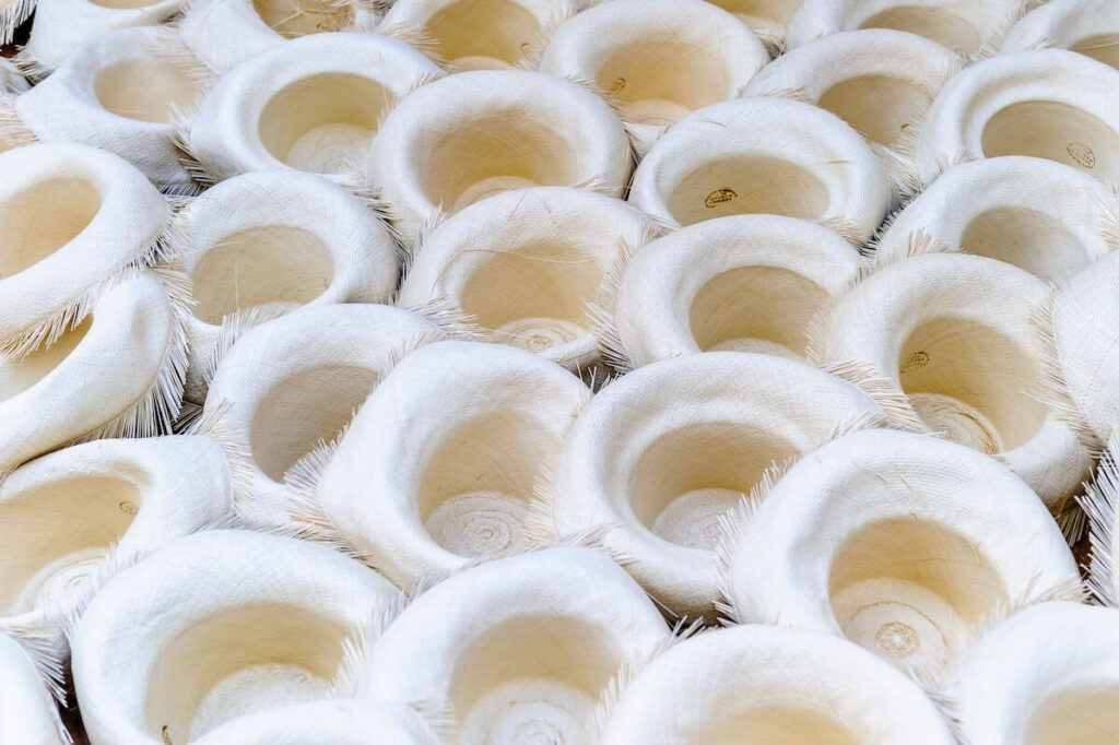 bunch of upside down Panama hats