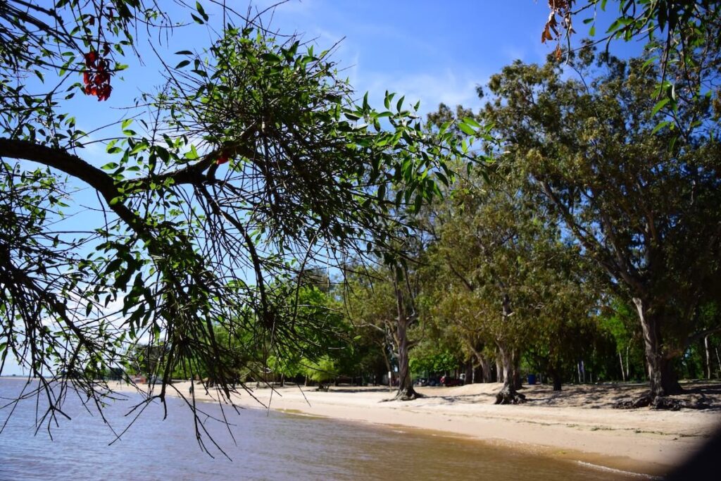 wild beach in carmelo