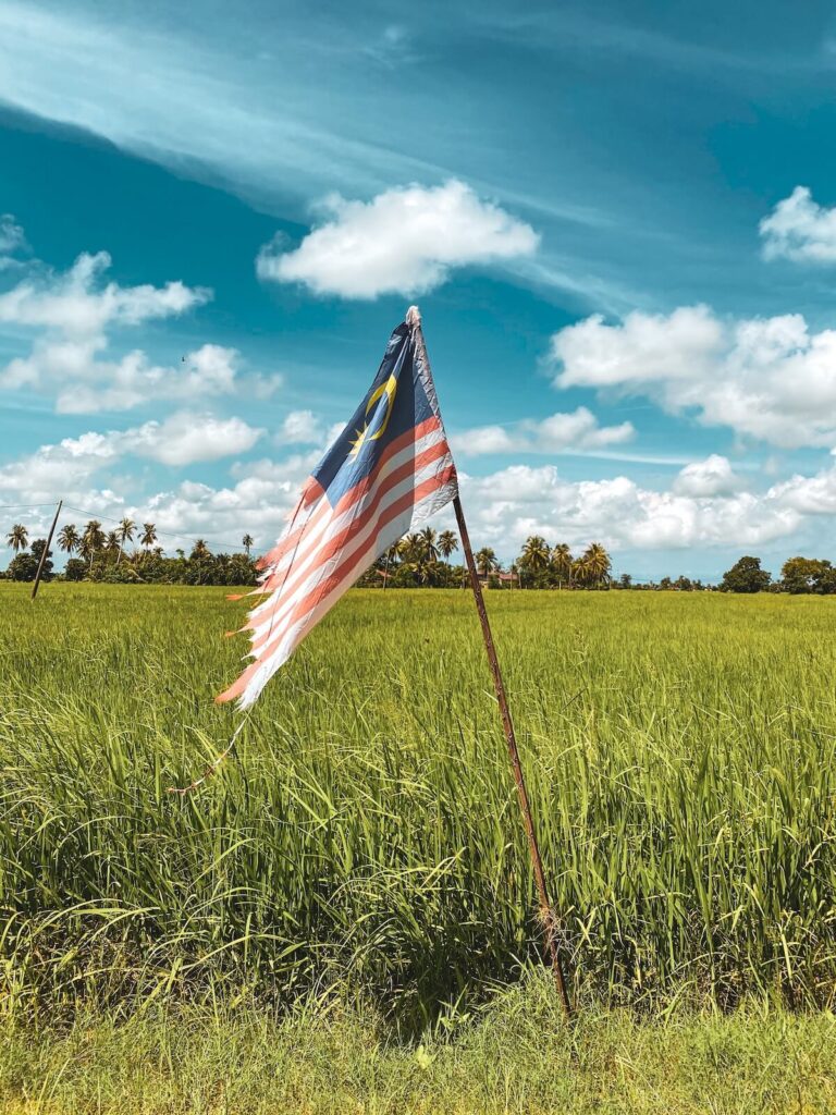 flag of Malaysia in a field