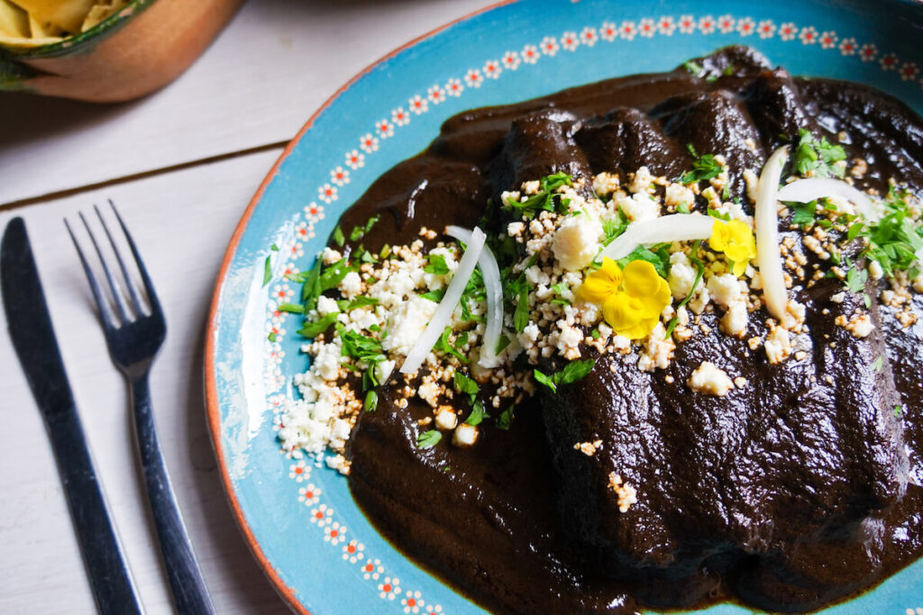 mole enchiladas on blue plate