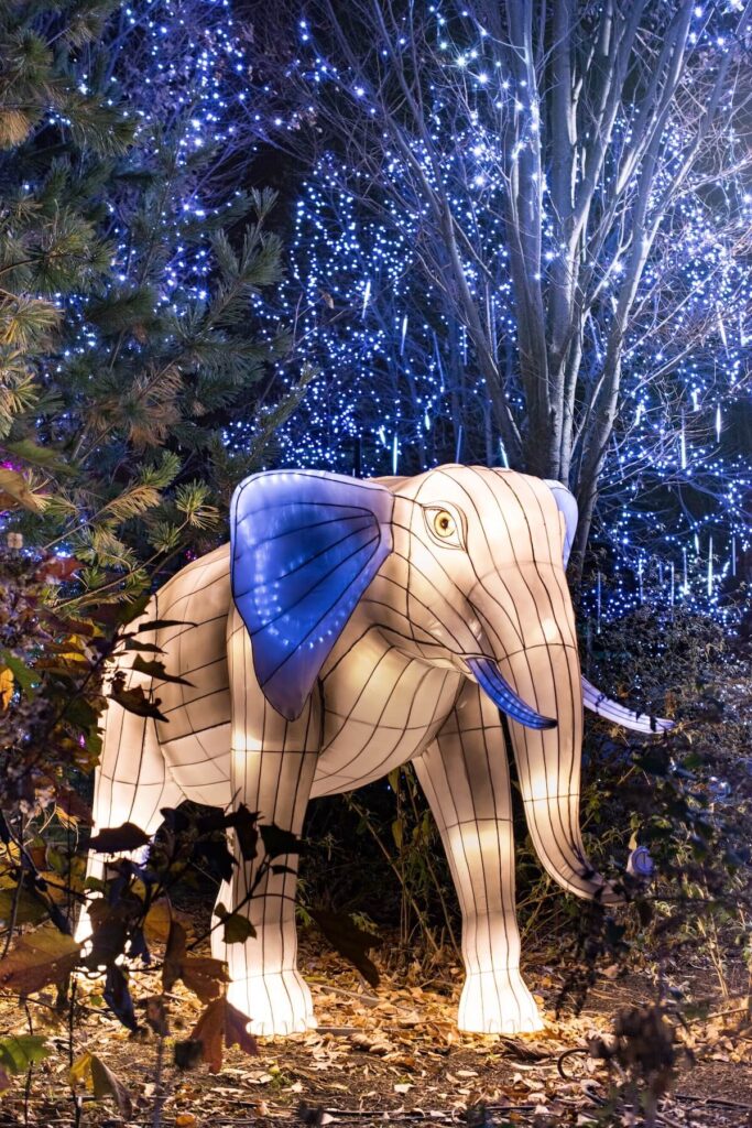 PNC Festival of Lights at the Cincinnati Zoo & Botanical Garden