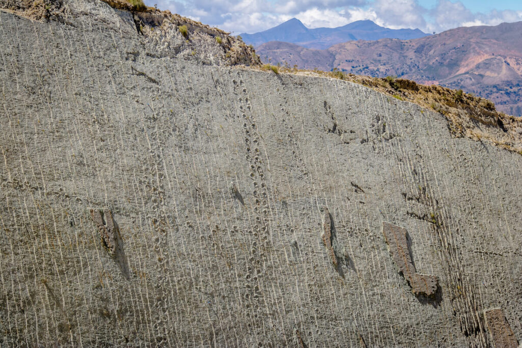 dinosaur footprints near sucre