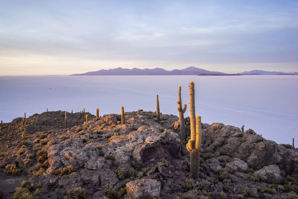 island on uyuni salt flat
