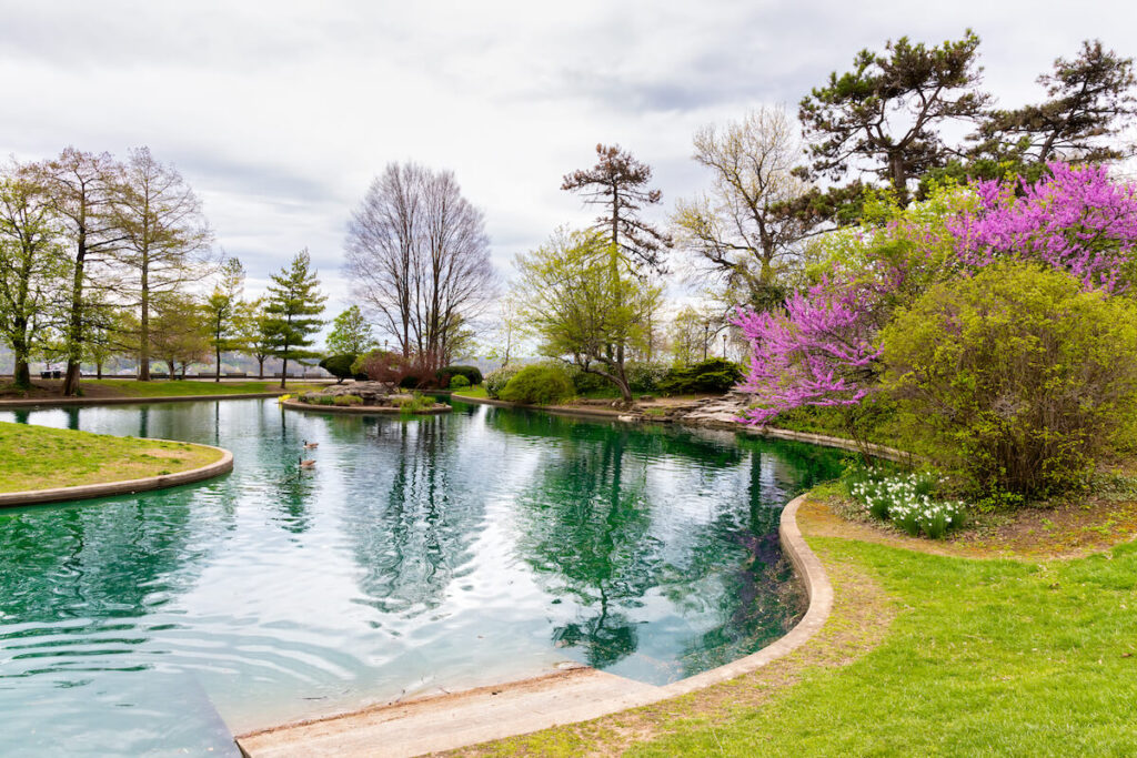 Blooming Flowers and Trees in Spring in Eden Park, Cincinnati, USA