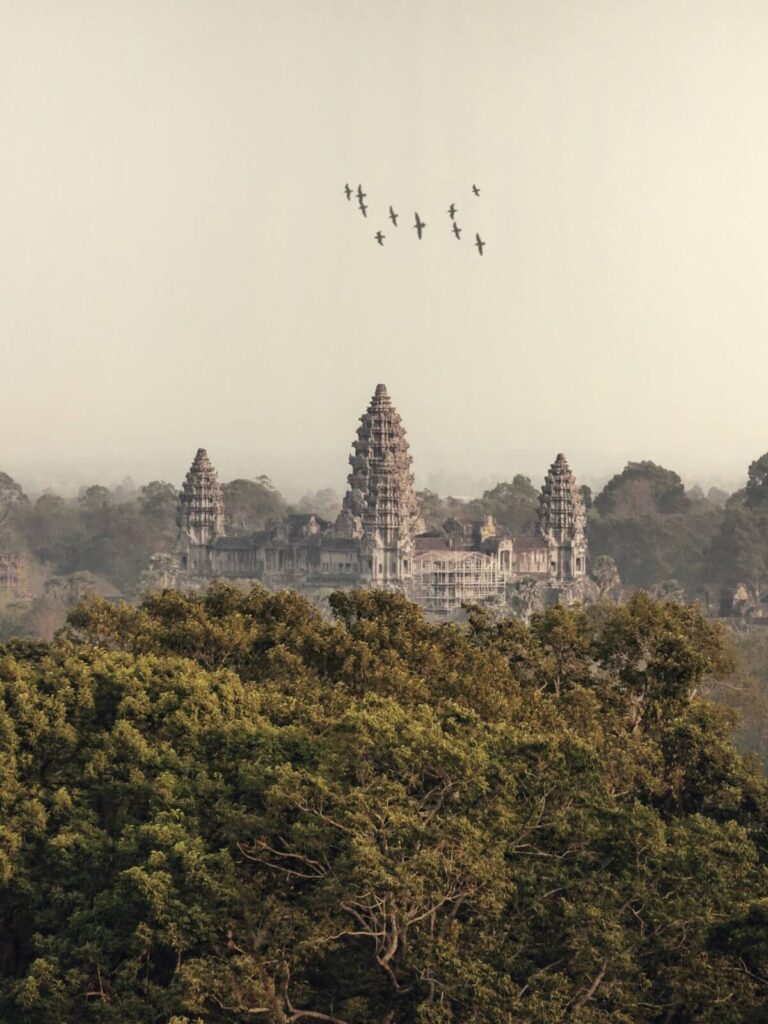 birds flying over Angkot Wat in Cambodia
